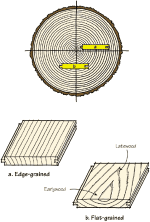 Flat-grained lumber shrinks and swells more than edge-grained (quartersawn) lumber and also has wider bands of dark latewood. Therefore, edge-grained siding will usually hold paint better than flat-grained material.