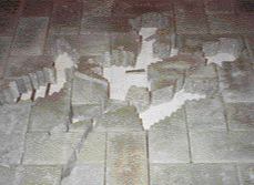 The irregular cutout in this herringbone-pattern layout provides the background for a crossed pair of rose stems, complete with foliage and thorns.