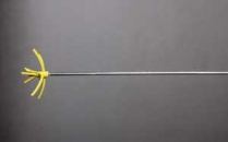 StirWhip