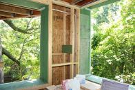 A set of framed window openings in the northwest corner of the two-family in-fill building in Roxbury, Massachusetts. Walls are 16-inch–deep, double-stud construction, with inner and outer walls joined with plywood gussets. Exterior sheathing and window bucks are ZIP System structural panels.