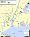 The red dots on the above New York City map indicate the 15 largest combined sewer outfalls in the city, which together dump 13.5 billion gallons of combined stormwater and untreated sewage into local waters every year.