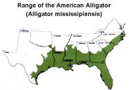 Gators are found in wet locations from Texas to as far north as North Carolina.