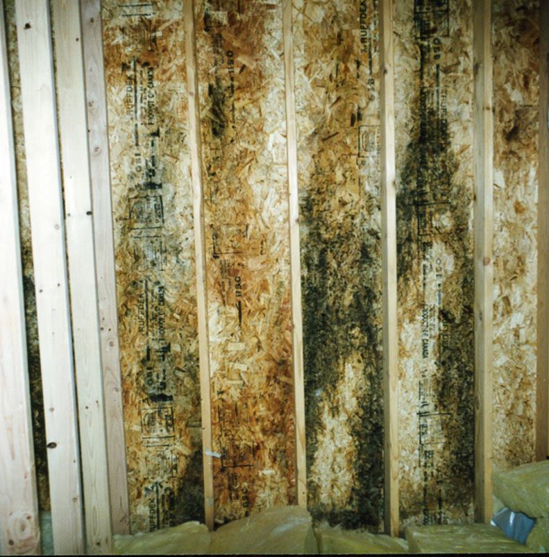 In most homes, air leakage is the biggest driver of moist air into wall cavities. But in the case of a thin wall without a vapor retarder in a cold climate, high indoor humidity can diffuse through the interior finish and condense on the cold surface of the exterior sheathing.