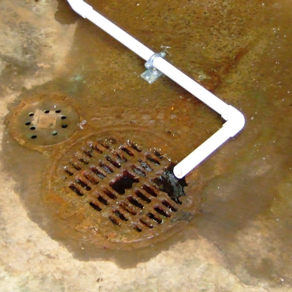 Acidic concentrate directed into a basement floor drain has eaten away the drain's brass grille. Under the floor, the condensate could be attacking cast-iron drain pipes or reinforced concrete.