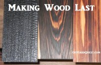 Neck Pain - Male Anatomy Sportsman Holding Head and Neck - Cervical Vertebrae Area - isolated on white