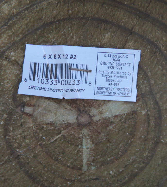 Photo credit: Ted Cushman