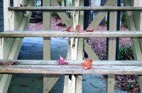 Stairs that are higher than 30 inches off the ground are subject to the same guidelines as railings, so avoid open risers that permit passage of a 4-inch-diameter sphere.