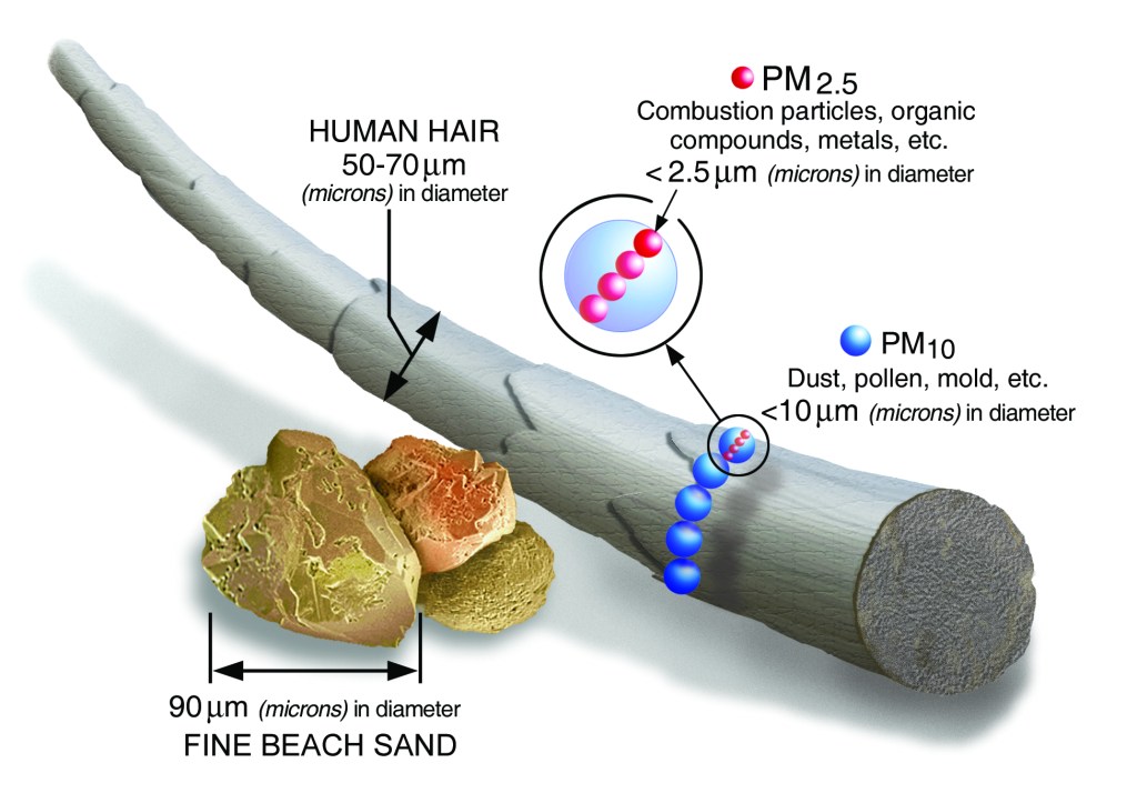 Size comparisons for particulate matter, or PM. Particle pollution includes:PM10 : inhalable particles, with diameters that are generally 10 micrometers and smaller; andPM2.5 : fine inhalable particles, with diameters that are generally 2.5 micrometers and smaller.How small is 2.5 micrometers? Think about a single hair from your head. The average human hair is about 70 micrometers in diameter – making it 30 times larger than the largest fine particle. (EPA)