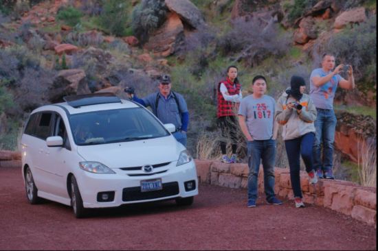 Photo Workshop - Zion Canyon 2015
