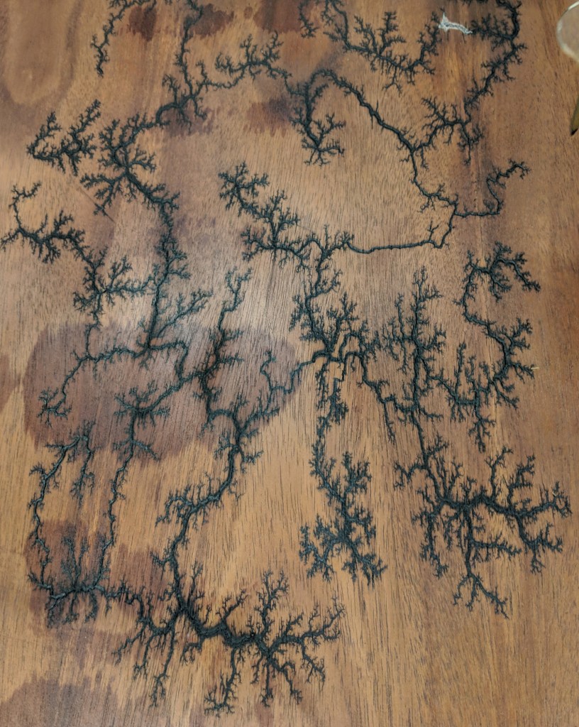 Lichtenberg figure burning was discovered by accident in the 1700s.