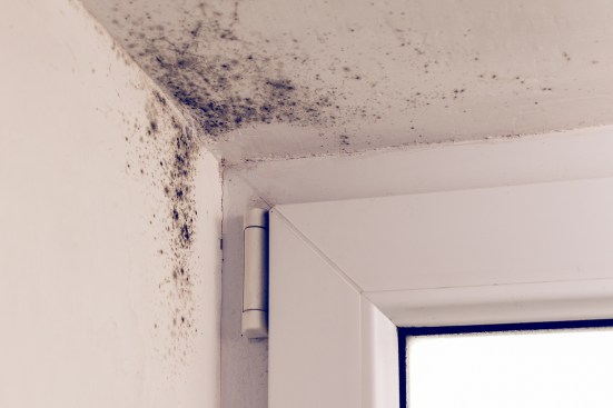 Mold in the corner of the plastic windows.