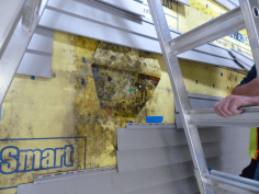 The walls of an Oregon housing project. Note the green pen knife, which easily penetrated the deteriorated OSB. The fact that this was a multifamily project plays a distinct role in why indoor moisture has so severely damaged these walls.