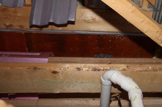 The existing LVL beam (dark brown) below an attic truss. The LVL helps support the main house roof rafters.