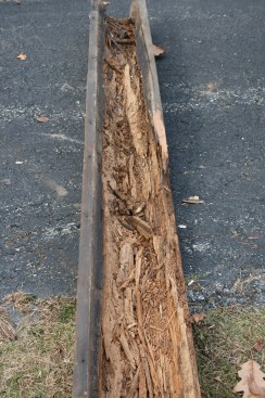 "Dry rot." Rotten wood is often found in a dry condition and so is called "dry rot." But the wood had to have once been wet for the decay to occur. In this case - an old wood gutter - the wood had ample opportunity to get wet. (For details on how this gutter was replaced with respectful consideration to the original building details as well as long-term future performance, see "Replacing a Wooden Gutter.")