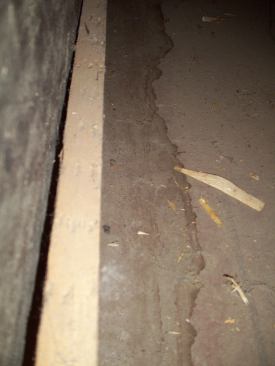  Granules that had sloughed off the new shingles lay on the inside surface of the soffit, a clear sign that wherever this water was coming from, it had first run down the shingles. 