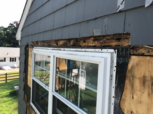 Although flashing tape had been used as splines on the sides of the window, the tape above the window had been installed incorrectly. Water trapped behind the trim quickly rotted out the board sheathing.