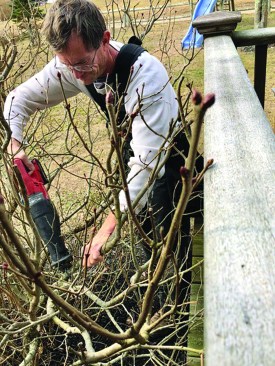 A special pruning blade can turn a recip saw into a landscaping tool in a pinch.