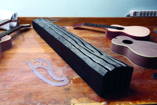Recently, a luthier friend milled one of the logs into planks for making musical instrument parts.