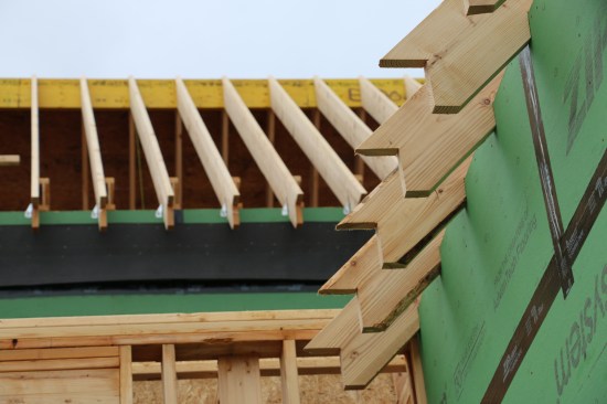 The crew installs all the common rafters before beginning to frame the cornice.