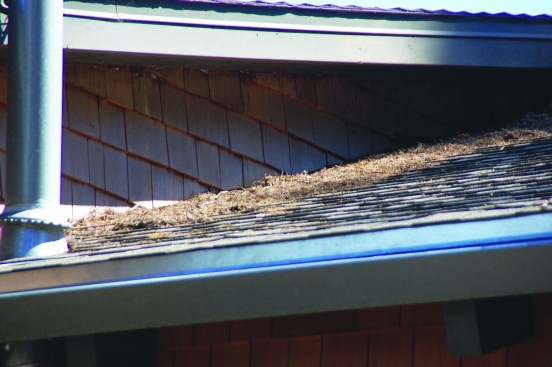 Debris piled up where combustible siding meets a roof can make a home vulnerable to wildfire.