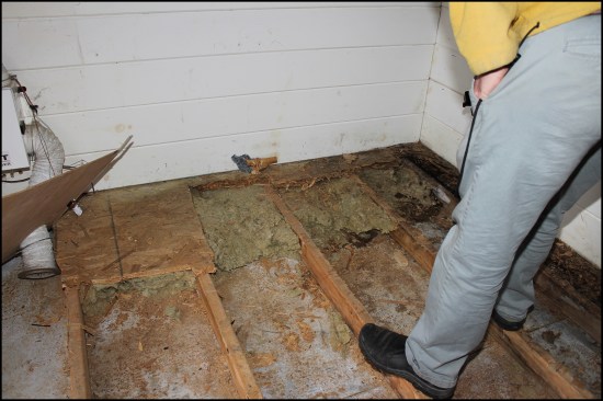 More critically, warm, moist air from the interior condensed on the metal bed, saturating vapor-open batts; water accumulated in the batts over time, resulting in rotted OSB subfloor and framing.
