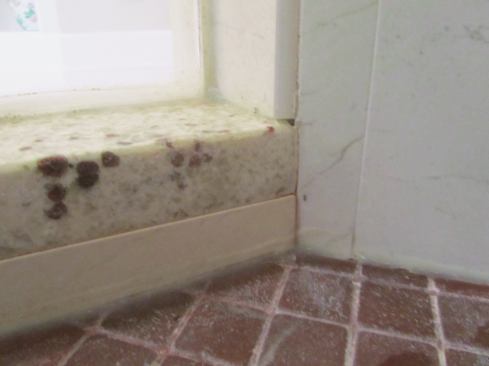 voids in the caulk and grout, and buildup of efflorescence around some of the joints, indicating water flow that deposited minerals. The question was, how much water was actually flowing through these cracks? Was it enough to cause the leak in the ceiling below?