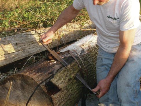 Loosen  a strip of bark at one end of the log with a draw knife. Once you’ve separated a section of bark, pull up and you can usually peek full length strips from the log.