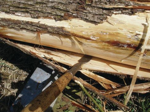 An alternative to using a draw knife to losen the strips of bark is to use a peeling spud. 