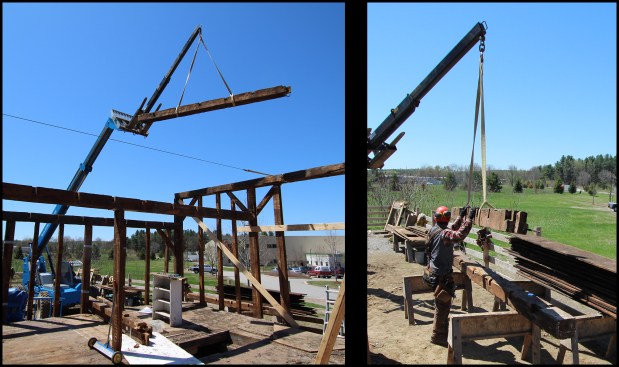 A rough-terrain forklift with a telescoping jib boom attachment helps remove larger timbers (photo, left). Here (photo, right), the author guides a top plate timber on to saw horses, ready to trucked to storage at a later date.