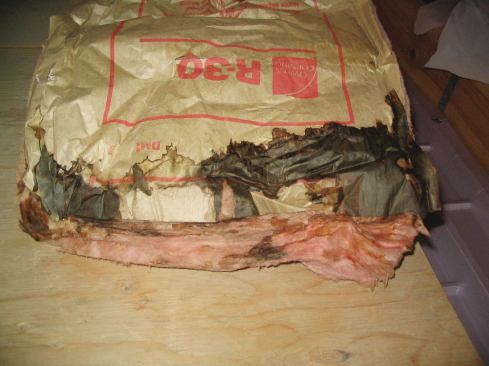 Insulation removed from the rafter bays was saturated.