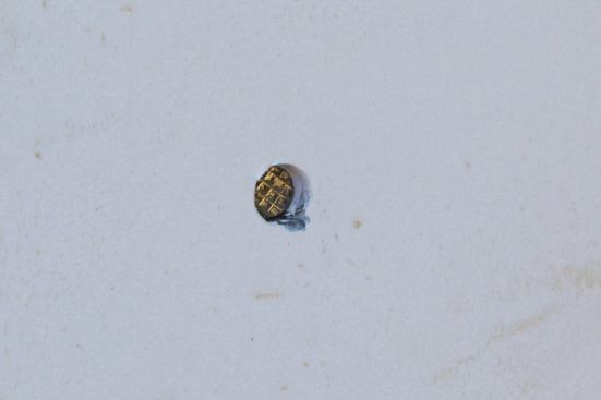 Wire collation doesn’t always break off cleanly and any remaining pieces of wire can rust and discolor the trim.