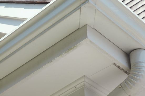 Ripping PVC trim exposes the open interior cells. If left unsealed,
these can absorb moisture, allowing mildew and algae to develop, as shown in this photo.