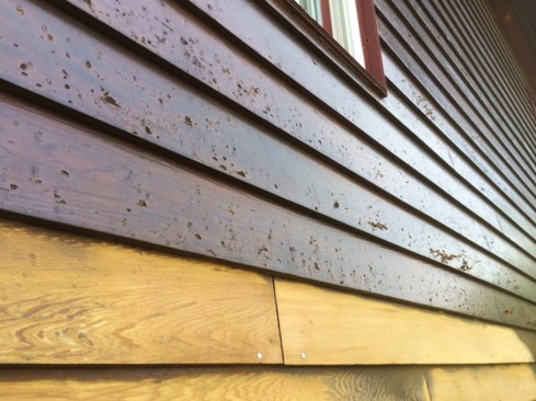 The existing siding and trim was finished with Sikkens - an alkyd-based stain that produces a hard, glossy film. The hail essentially shattered the Sikkens film coating on impact. However, the damage was largely confined to the film, leaving the underlying red cedar siding relatively untouched.