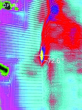 An infrared image showed the position of the colony.