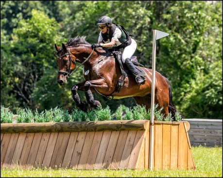 A paired horse and rider team jumps a cross-country jump built by the author. (Special thanks to Joan Davis of Flatlandsfoto for eventing photography.)