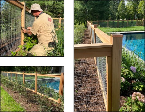 Workers prefabricated cedar fencing panels, sandwiching galvanized welded wired mesh between a 2x4 frame and a 1-by face frame, and then fastened them to the posts with stainless steel screws (left top and bottom). The posts were topped with site-fabricated copper caps (right).