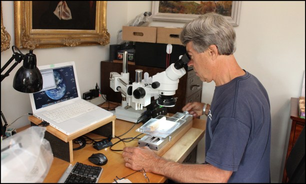 Each sample is placed under a stereo zoom binocular microscope on a sliding stage with a micro-adjustment knob calibrated to read to the nearest micron.