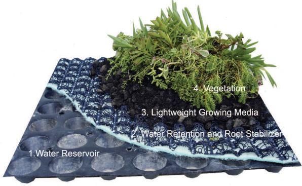 The base layer of Green Living Technology's modular roof panels — a dimpled HDPE membrane — acts as a water reservoir, but has perforations so that excess water can drain out. The root-stabilization layer consists of a nonwoven polypropylene matrix that allows water to flow freely through it, with a gel-like backing that can absorb moisture. The third layer, the planting medium, is a lightweight blend of local gravels and soils with perlite.