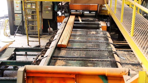 Five 2x4s plus some thinner pieces (mill run boards) are coming out of the gang rip saw (
video here). The piece that went in was approximately 3 1/2 inches thick by 9 inches wide.