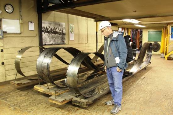 Here I am in the sharpening room—checking out the largest band saw blades I have ever seen. These are dull and waiting to sharpened. If necessary, they will be re-tipped. Re-tipping means re-grinding the gullets and using a machine to weld on new Stellite tips. Stellite is an alloy similar to carbide; it's tougher but not quite as hard.