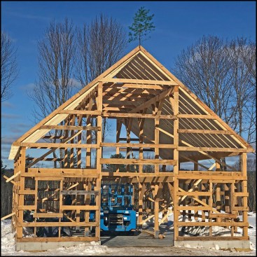 A wetting bush tops out a recently built post-and-beam barn frame in New Hampshire.