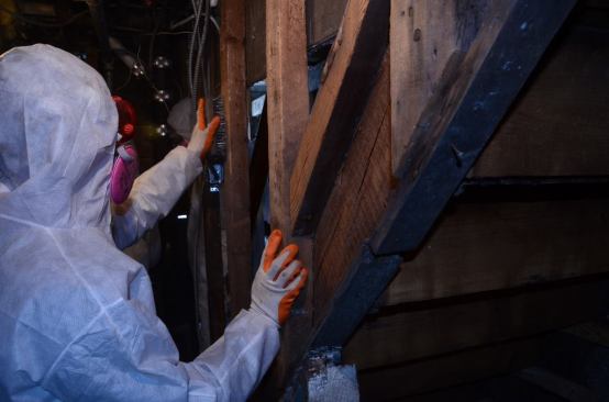 “Scrubbing every single surface of the home with a wire brush is not fast,” says Terri Bennett.
