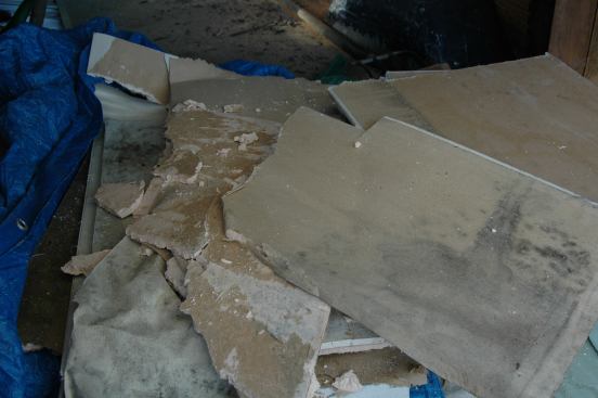 Mold quickly became public enemy number one and getting it out of living spaces was a priority.