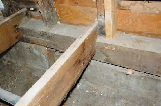 The exterior walls were balloon-framed, with the joists notched into the original sill; here it would be easy to pull the joists without disturbing the walls.