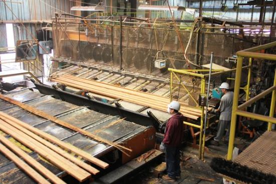 When pieces come out of the edger they land on a transfer table that conveys them to the trim saw that will cut them to length (
video here).