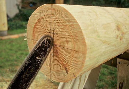 Safe Plunge Cuts: Plunge cutting with a chain saw requires caution. If the top of the bar contacts anything while the chain is spinning, it will kick back at the operator, which could result in a serious injury. Start the cut with the bar at 45 degrees to the base of the log and the bottom of the bar tip contacting the wood.