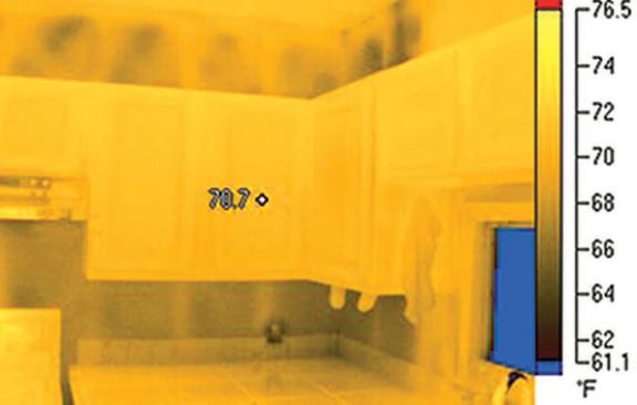 The amber image is similar to grayscale but based on shades of yellow.