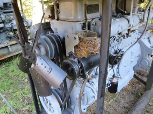 During it’s working life it’s unlikely this stationary engine would have been idle long enough for a bird to build a nest on it. Things are different, now that the engine is out in the boneyard.