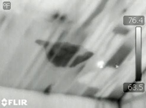 An IR image showed a concentration of moisture. (Note also the dark square areas to the right of the moisture spot; these indicate voids in the cathedral ceiling's insulation.)