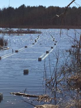 Once the snow melted, the water level in Round Lake and Anthony Kill temporarily rose to the level of the anchor brackets.